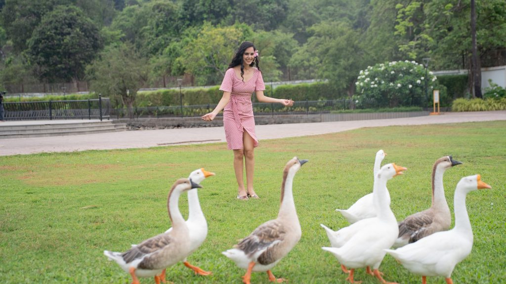 Hotel Sea N Rock Lawn Garden