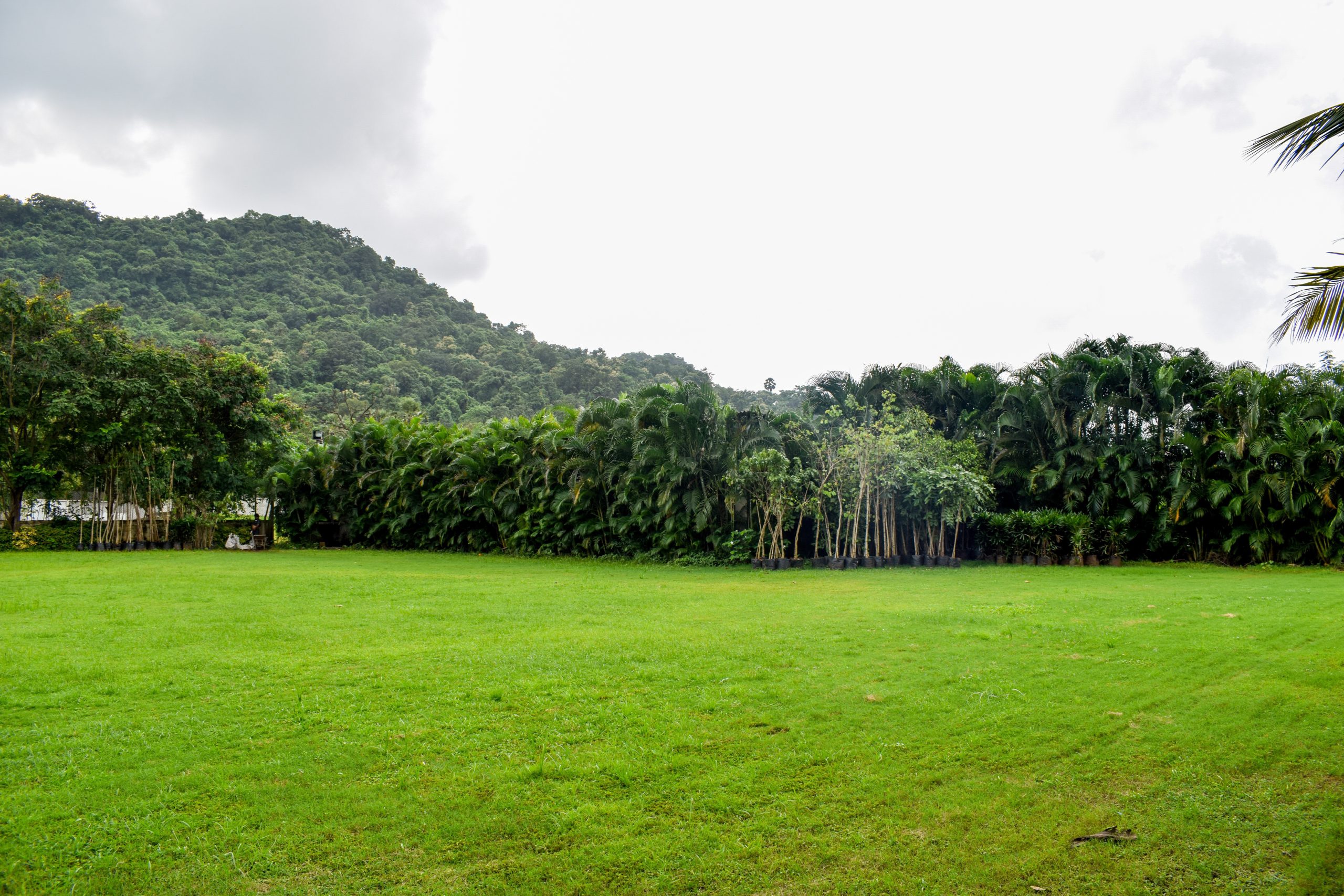 Sea N Rock Front Lawn on Ghodbundar Road, ideal outdoor venue for weddings, receptions and events