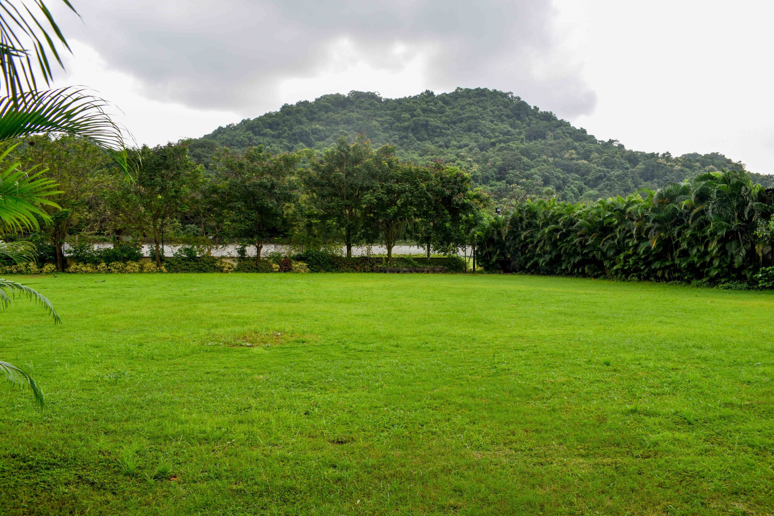 Sea N Rock Front Lawn at Hotel Sea N Rock, elegant outdoor venue for weddings, receptions and private events